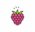 Raspberries icon Royalty Free Stock Photo