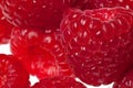 Raspberries isolated Royalty Free Stock Photo