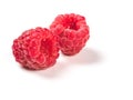 Raspberries isolated, creative layout Royalty Free Stock Photo