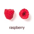Raspberries isolated, creative layout Royalty Free Stock Photo