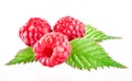 Raspberries isolated on white Royalty Free Stock Photo