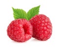 Raspberries isolated Royalty Free Stock Photo