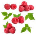 Raspberries isolated Royalty Free Stock Photo