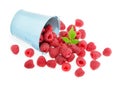 Raspberries isolated Royalty Free Stock Photo