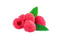 Raspberries isolated on white background. Fresh raspberries with mint leaf in close-up Royalty Free Stock Photo