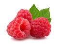 Raspberries with leaves isolated on white background Royalty Free Stock Photo
