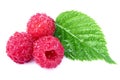 Raspberries with leaves in water isolated. Royalty Free Stock Photo