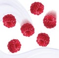 Raspberries and milk splash, isolated on white background Royalty Free Stock Photo