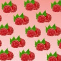 Raspberries pattern on pastel pink background. Minimal fruit concept. Royalty Free Stock Photo