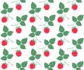 Raspberries. Pattern