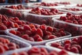 Raspberries in plastic trays. Selective focus.