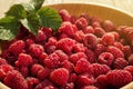 Raspberries in a plate, in wooden bowl, basket/bush branch/growing Royalty Free Stock Photo