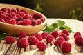 raspberries in a plate,in wooden bowl,basket/bush branch/growing raspberries,raspberries background closeup photo,high resolution Royalty Free Stock Photo