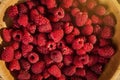 raspberries in a plate,in wooden bowl,basket/bush branch/growing raspberries,raspberries background closeup photo,high resolution Royalty Free Stock Photo