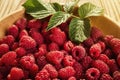 raspberries in a plate,in wooden bowl,basket/bush branch/growing raspberries,raspberries background closeup photo,high resolution Royalty Free Stock Photo
