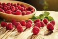 Raspberries in a plate,in wooden bowl,basket/bush branch/growing Royalty Free Stock Photo