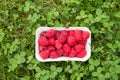 Raspberries in a punnet