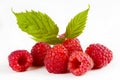 Raspberries Royalty Free Stock Photo