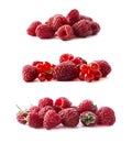 Raspberries and red currants on white background. Red berries closeup. Juicy and delicious raspberries.