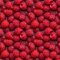 Raspberries seamless pattern background. Realistic photographic style.