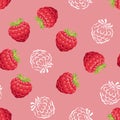 Raspberries seamless pattern on a red background. Vector illustration of ripe berries and white outline