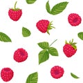 Raspberries seamless pattern. Summer fruits and berries illustration