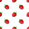 Raspberries seamless pattern. Vector illustration.