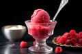 raspberries in a silver spoon on top of raspberry sherbet Royalty Free Stock Photo