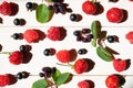 Raspberries, strawberries, shadberry and black currants on a light wooden background. Royalty Free Stock Photo