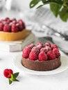 Raspberries tartalet and green mint, summers Royalty Free Stock Photo