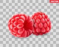 Raspberry. Sweet fruit. 3d vector icon. Realistic illustration Royalty Free Stock Photo