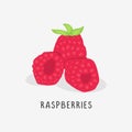 raspberries vector flat illustration, isolated on white background