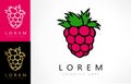 Raspberries vector logo