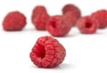 Raspberries white isolated