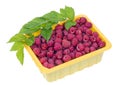 Raspberries in a yellow plastic container Royalty Free Stock Photo