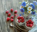 Raspberries and yogurt