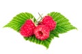 Raspberriesisolated on white background Royalty Free Stock Photo