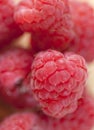 Raspberry Royalty Free Stock Photo