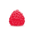 Raspberry. Sweet fruit