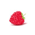 Raspberry. Sweet fruit.