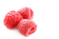 Raspberry Royalty Free Stock Photo