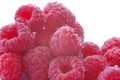 Raspberry