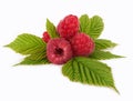 Raspberry