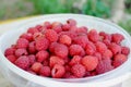 Raspberry Royalty Free Stock Photo