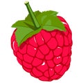 Raspberry