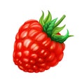 Raspberry