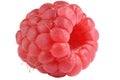Raspberry Royalty Free Stock Photo