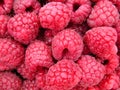 Raspberry Royalty Free Stock Photo