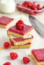 Raspberry Almond Bars Royalty Free Stock Photo