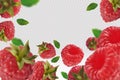 Raspberry background. Flying raspberry with green leaf on transparent background. Raspberry falling from different